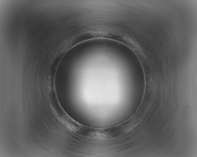 X0000083990498200702161136