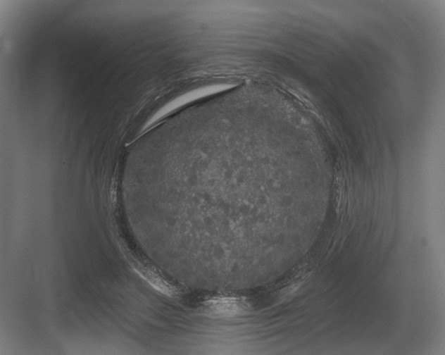 X0000083990499200702161136