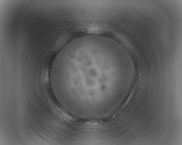 X0000083990502200702161136