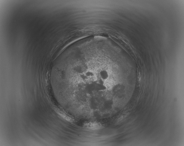 X0000083990503200702161136