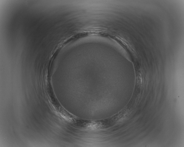 X0000083990504200702161136