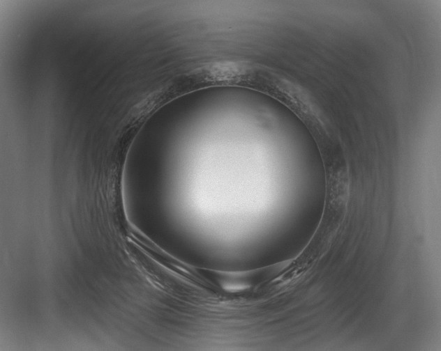 X0000083990505200702161136