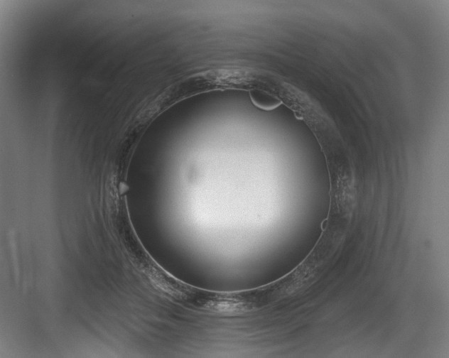 X0000083990506200702161136