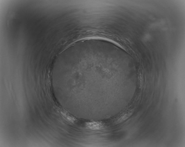 X0000083990511200702161136