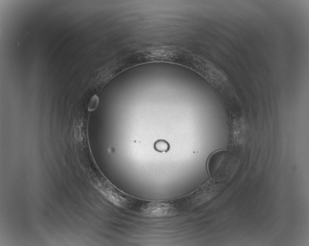 X0000083990514200702161136