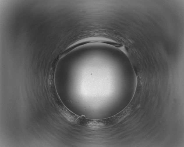 X0000083990515200702161136