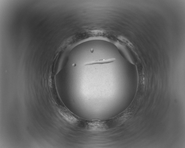 X0000083990516200702161136