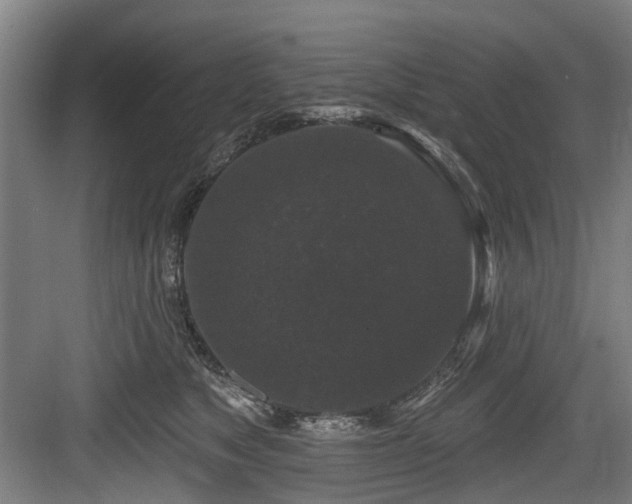 X0000083990517200702161136