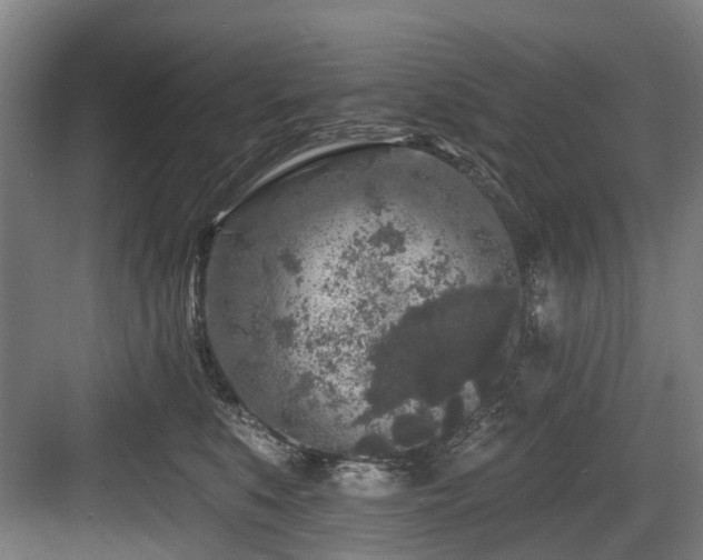 X0000083990519200702161136