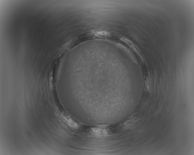 X0000083990520200702161136