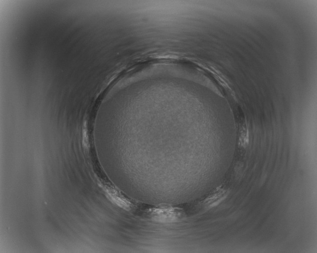 X0000083990524200702161136