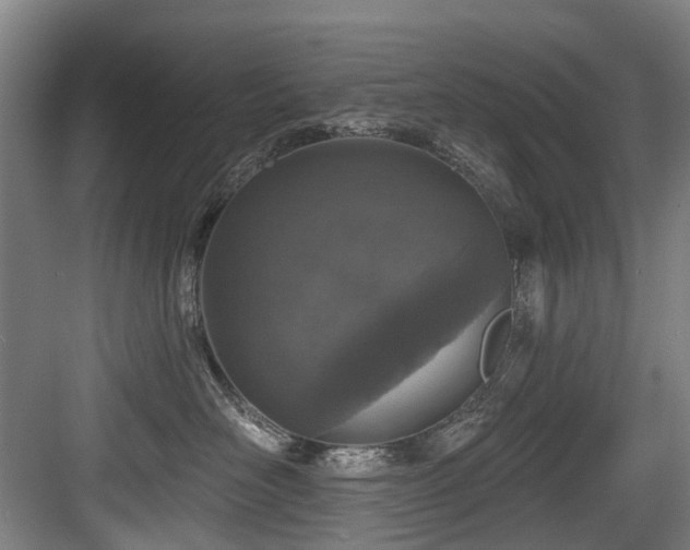 X0000083990526200702161136