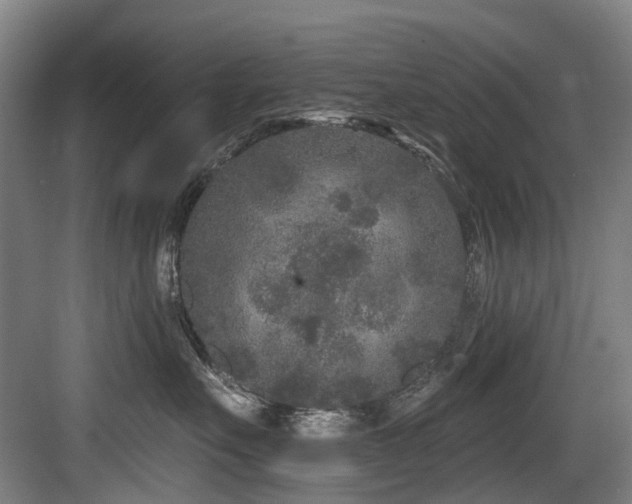 X0000083990527200702161135