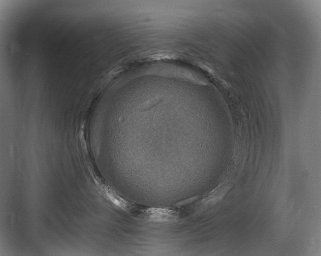 X0000083990528200702161135