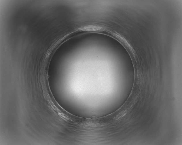 X0000083990529200702161135