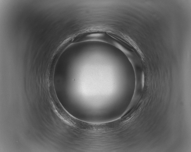 X0000083990530200702161135