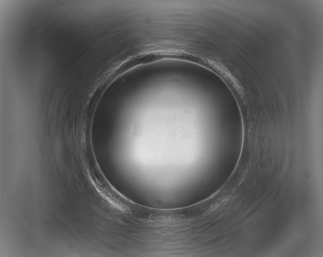 X0000083990533200702161135