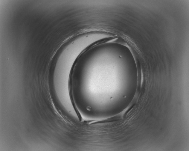 X0000083990534200702161135