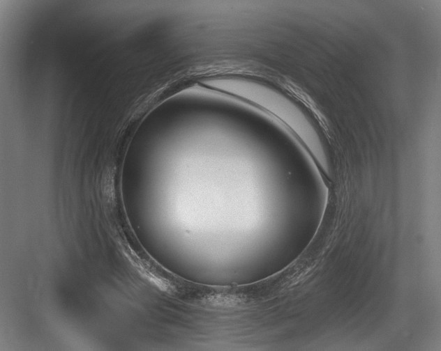 X0000083990537200702161135