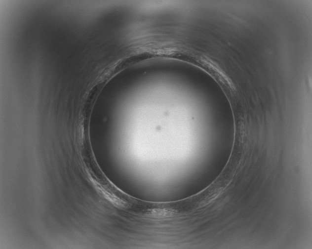 X0000083990541200702161135