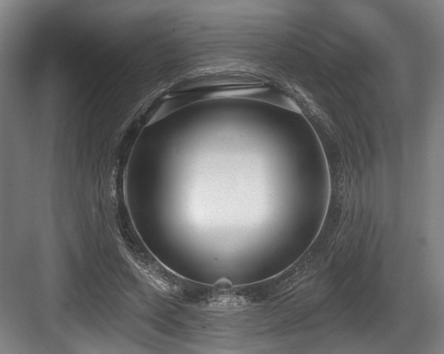 X0000083990543200702161135