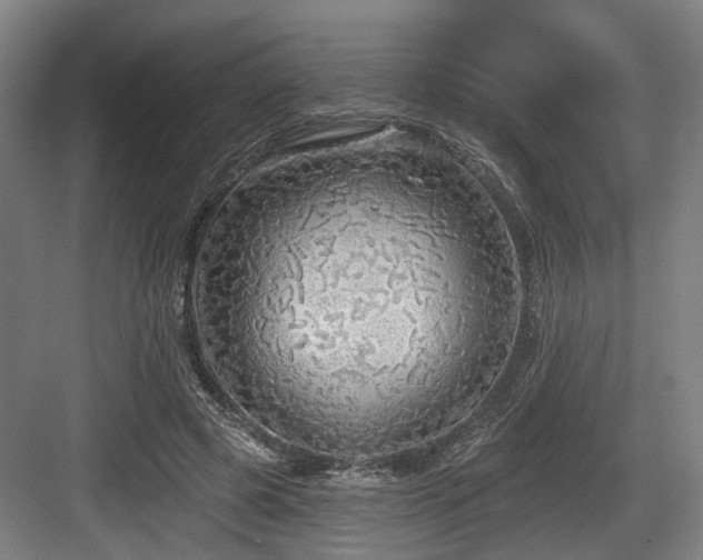 X0000083990545200702161135