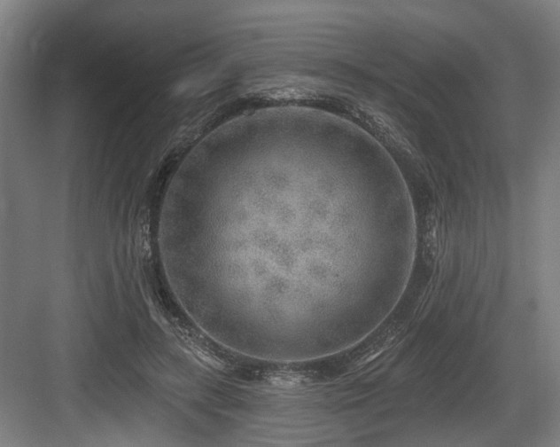 X0000083990547200702161135