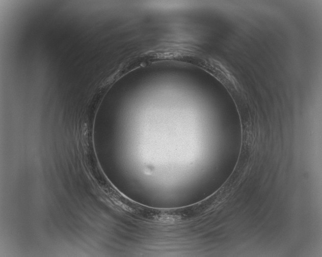 X0000083990549200702161135