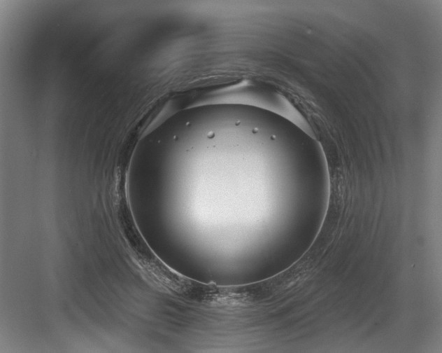 X0000083990550200702161135