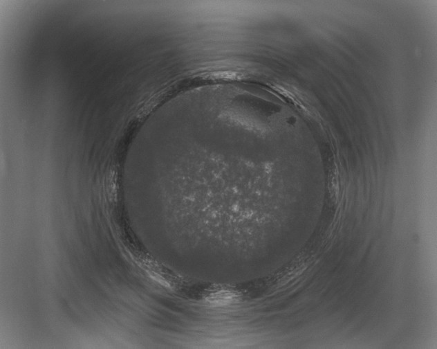 X0000083990551200702161135