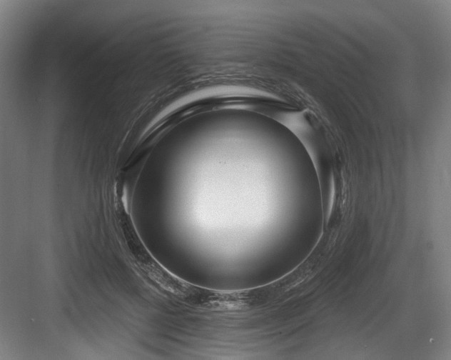 X0000083990552200702161135