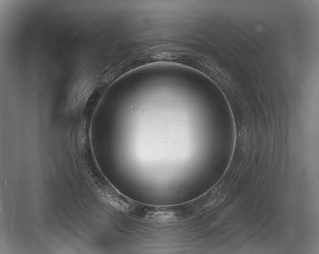 X0000083990554200702161135