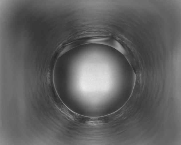 X0000083990556200702161135