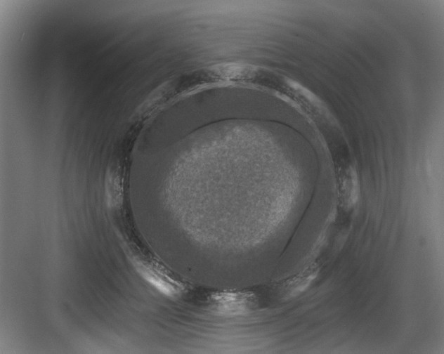 X0000083990558200702161135