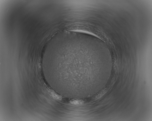 X0000083990561200702161135