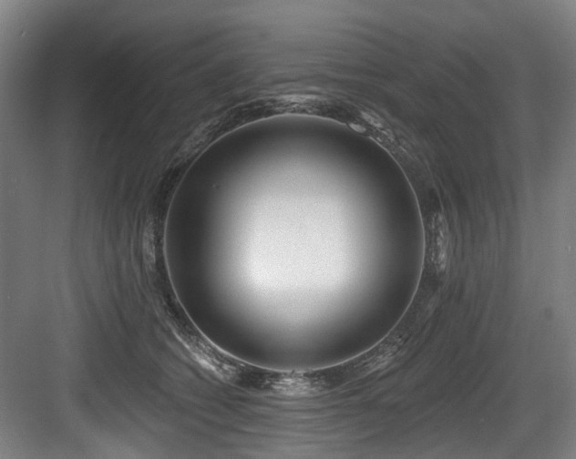 X0000083990562200702161135