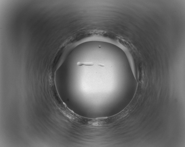 X0000083990564200702161135