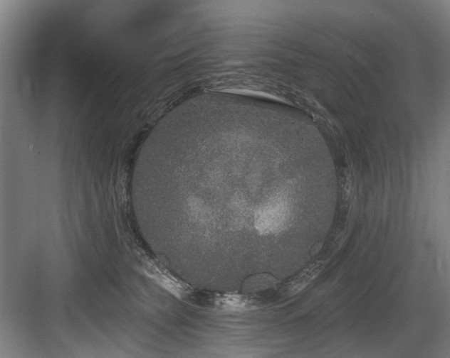 X0000083990565200702161135