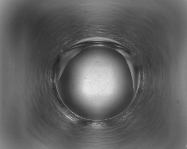 X0000083990566200702161135