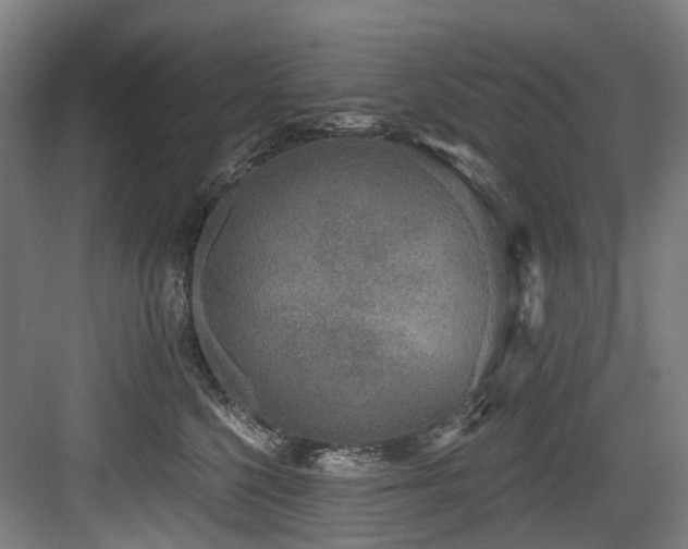 X0000083990568200702161135