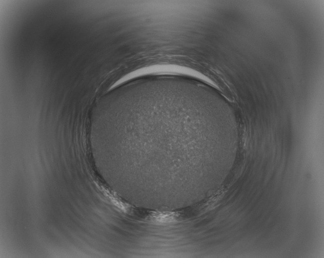 X0000083990569200702161135