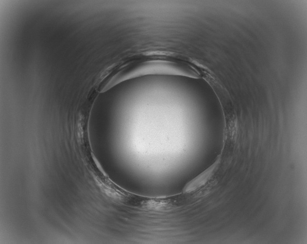 X0000083990570200702161135