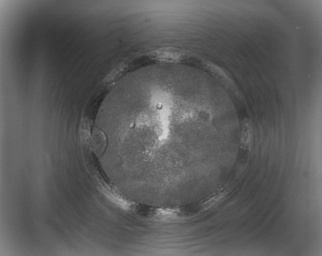 X0000083990573200702161135