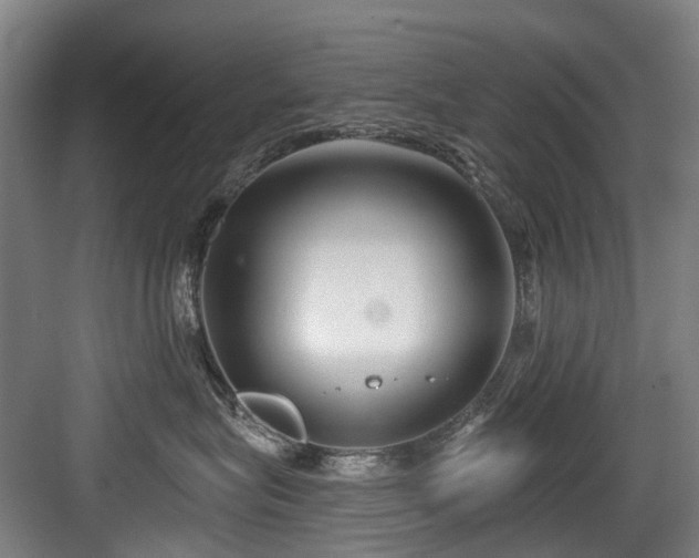 X0000083990575200702161135