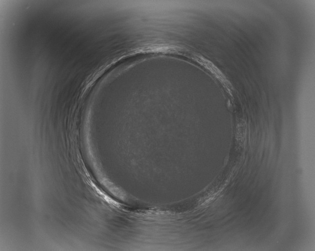 X0000083990577200702161135