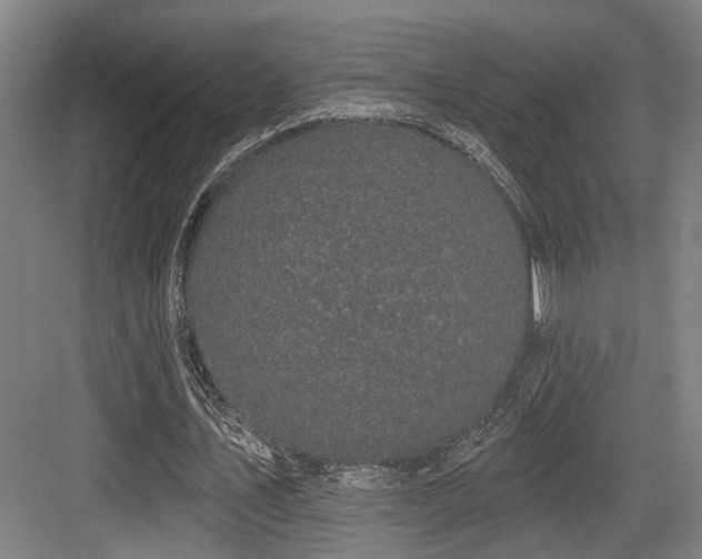 X0000083990579200702161135