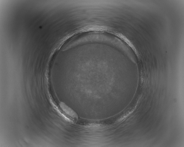 X0000083990581200702161135