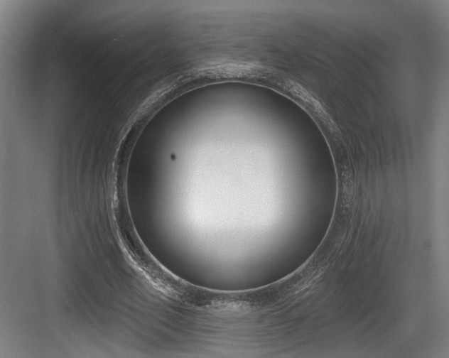 X0000083990582200702161135