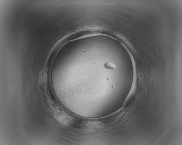 X0000083990583200702161135