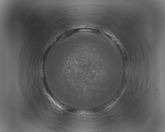 X0000083990585200702161135